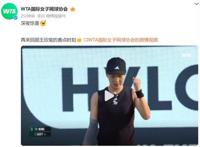 网球元素与 网球元素与