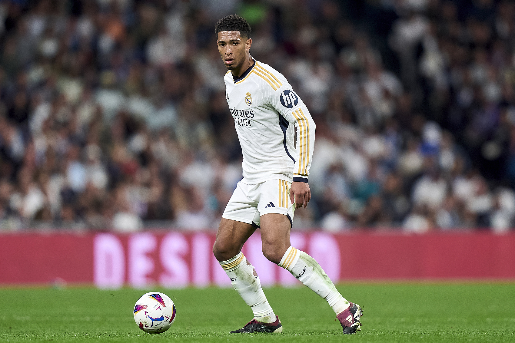 在乌加特的 在乌加特的