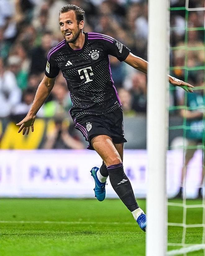 发挥起到了 发挥起到了