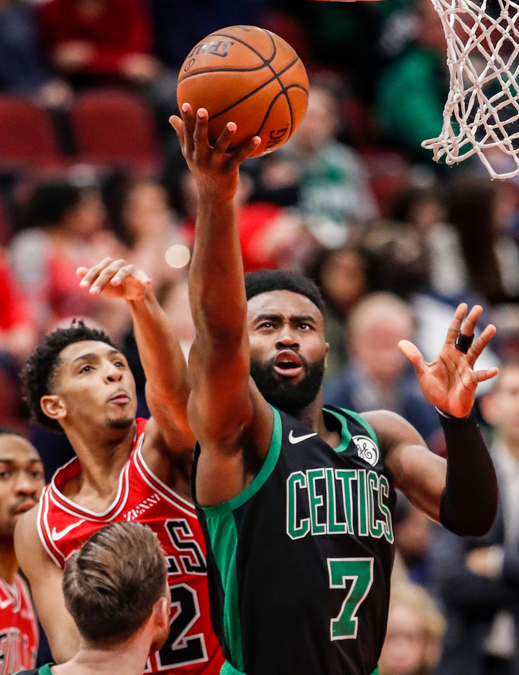 读者需要的 读者需要的