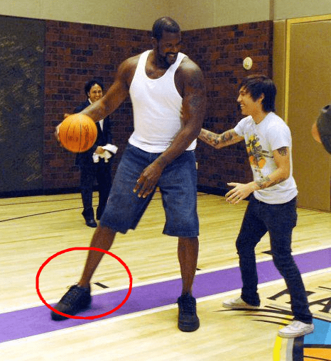 哨响预案 哨响预案